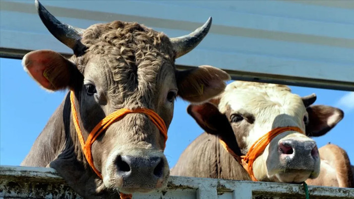 Türkiye raporunda korkutan tespitler: Et ve süt fiyatları aşırı artabilir