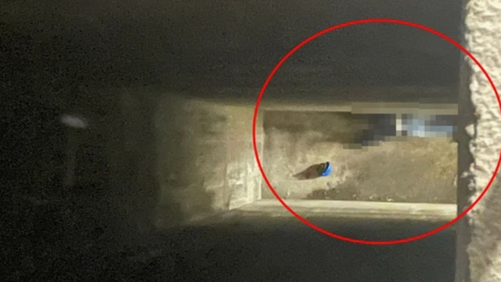 Mardin'de iş kazası! Hidro elektrik santralinde bir işçi öldü