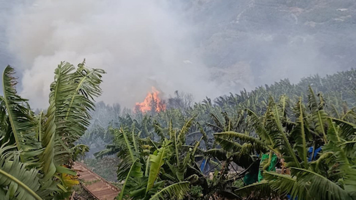 Antalya'da muz bahçelerinde yangın çıktı