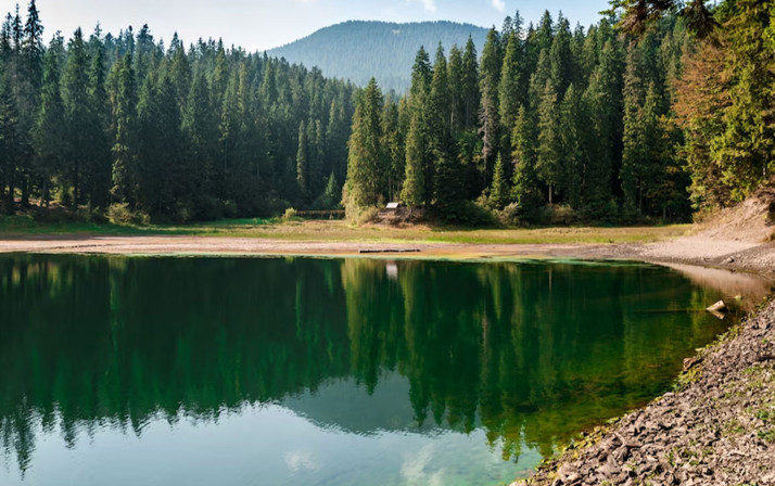 Dünya kuruyor! Son 30 yılda dünyadaki büyük göllerin yüzde 53'ü küçüldü