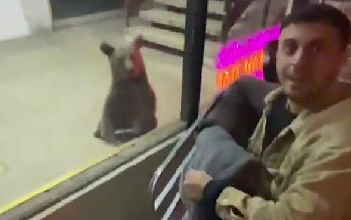 Karabük'te şehir merkezine inen ayılar iş hanına girerek esnaflara saldırdı