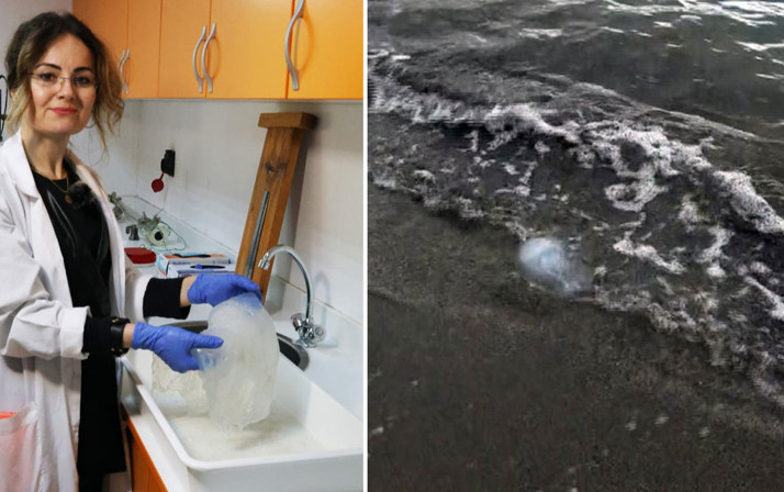 Denizlerde gizli tehlike: Temas ederse sağlık kuruluşuna gidin!