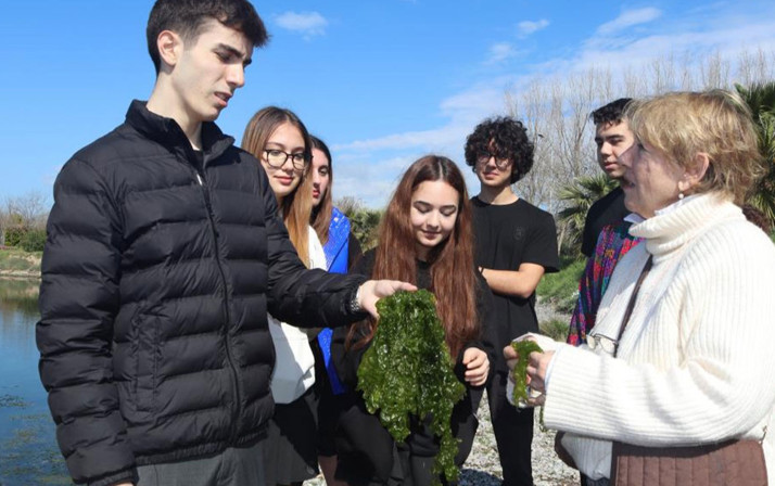 Deniz marulu proteinli alternatif gıda olarak kullanılabilecek