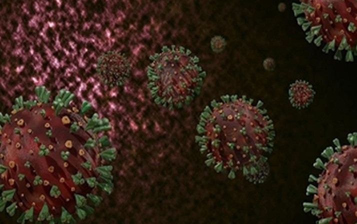 Türkiye'de maymun çiçeği görüldü mü? 'Karantina' iddiasına Ankara İl Sağlık Müdürlüğünden açıklama geldi