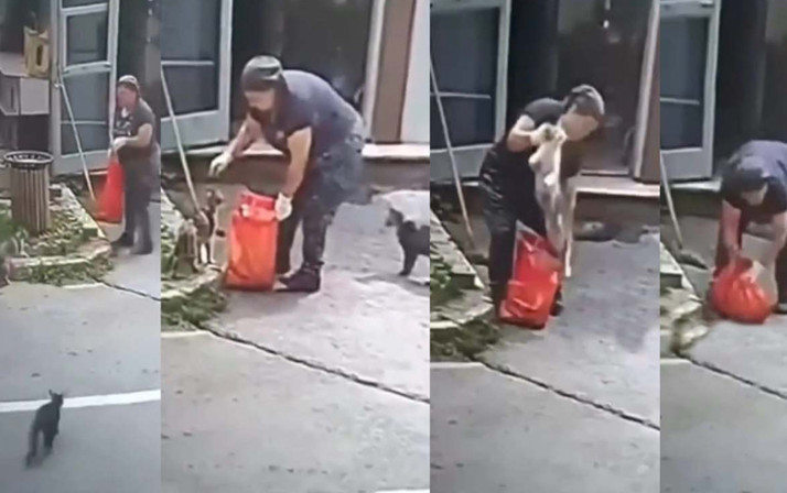 Gaziosmanpaşa'da şoke eden görüntü! Kediyi poşete koyup götürdü