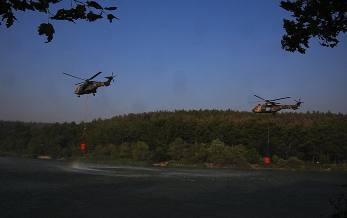 İzmir'de bir orman yangını daha