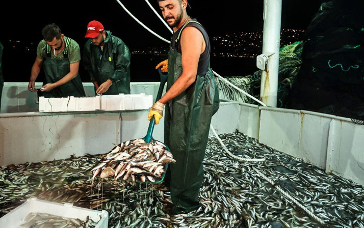 Türkiye balığa doyacak: Sofraların vitamin deposunda fiyatlar en dipte!