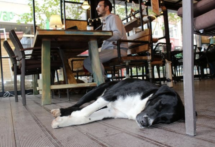 Bakanlık harekete geçti! Köfteci Yusuf'ta eleştirilen uygulama tüm restoranlara yayılıyor - Resim: 2