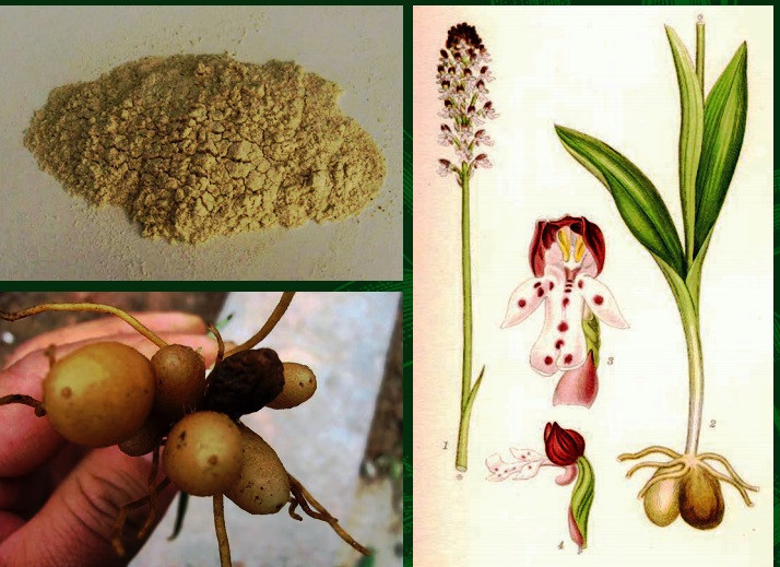 Hasat edilmeden kilosu 50 liradan satıldı - Resim: 4