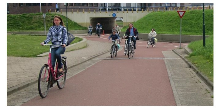 Öğrendiğinize ufkunuzu açacak 15 muhteşem bilgi - Resim: 4