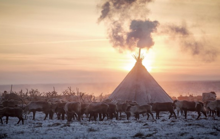 Ren geyikleriyle yaşayan insanlar! Hayatta kalmak için bunu yapıyorlar - Resim: 4