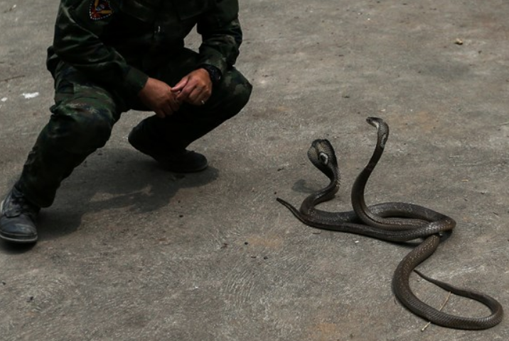 Herkes cesaret edemez! Hayatta kalma eğitimi dehşete düşürdü - Resim: 2