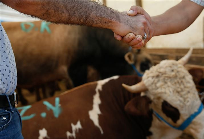 Kurban kesecekler dikkat! İşte 10 soruda kurban ibadetiyle ilgili doğru bilinen yanlışlar - Resim: 3