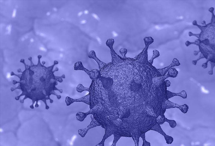 M çiçeği virüsüne ilişkin merak edilenler! Sağlık Bakanlığı tek tek açıkladı, hastalık böyle bulaşıyor - Resim: 4