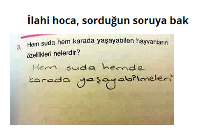 Bu cevaplar efsane oldu - Resim: 1