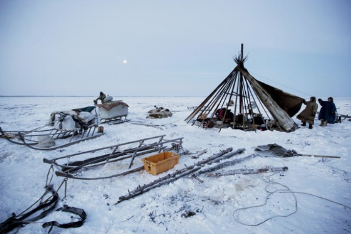 Ren geyikleriyle yaşayan insanlar! Hayatta kalmak için bunu yapıyorlar - Resim: 2