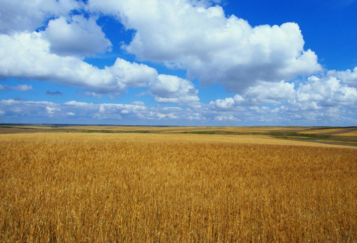 Peygamberlerin meslekleri... - Resim: 1