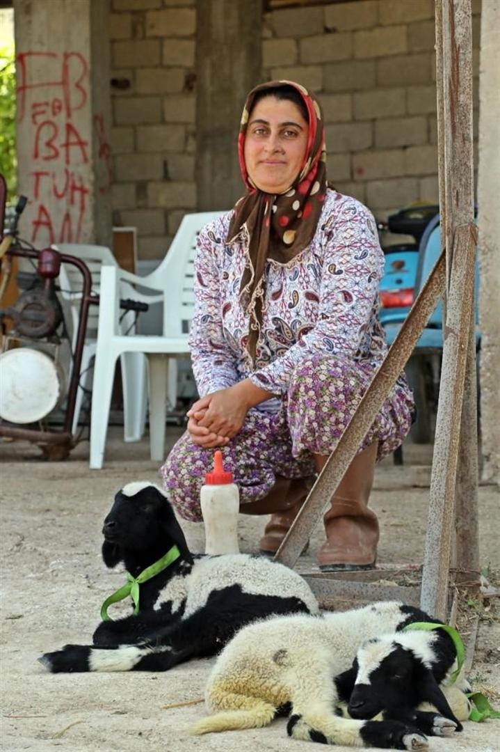 Annesi ölen yavruları kurtardı şimdi onlara annelik yapıyor - Resim: 2