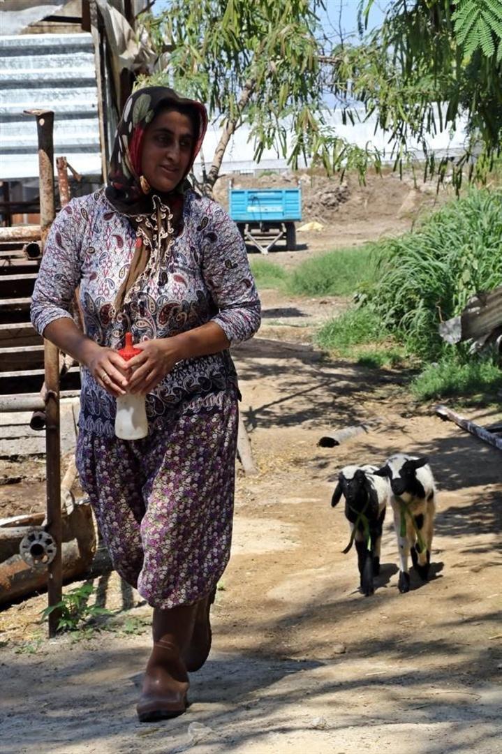 Annesi ölen yavruları kurtardı şimdi onlara annelik yapıyor - Resim: 3