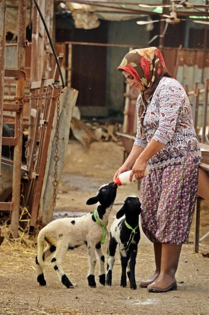 Annesi ölen yavruları kurtardı şimdi onlara annelik yapıyor - Resim: 4