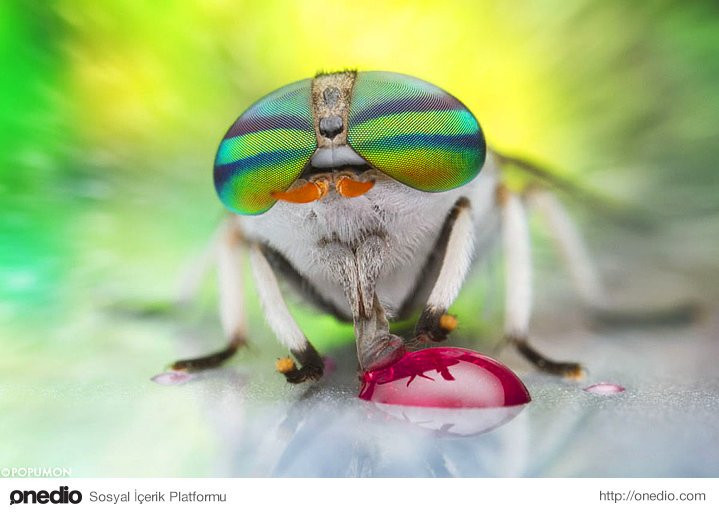 Bakanı büyüleyen 43 fotoğraf muhteşem - Resim: 4