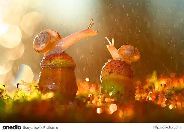 Bakanı büyüleyen 43 fotoğraf muhteşem - Resim: 2