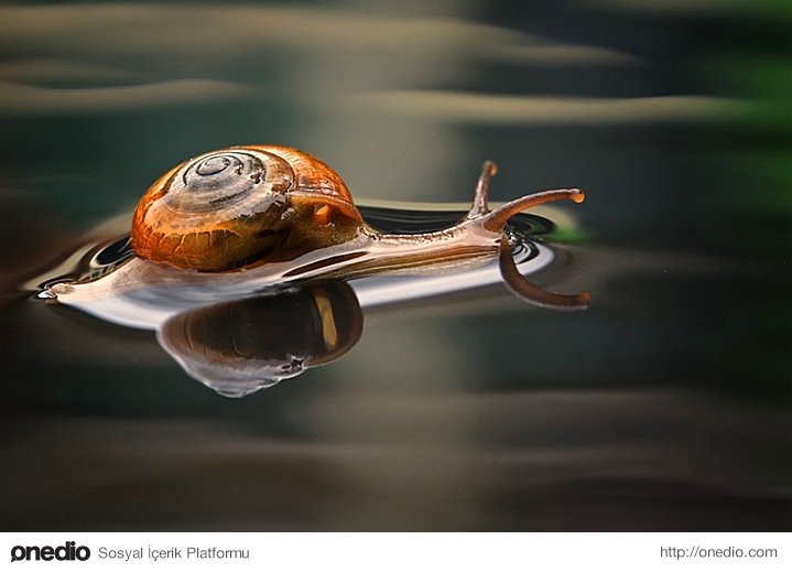 Bakanı büyüleyen 43 fotoğraf muhteşem - Resim: 3