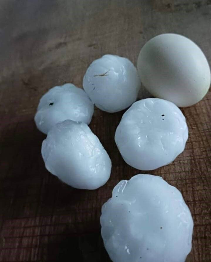 Sivas'ta yumurta büyüklüğünde dolu yağdı sokak hayvanları telef oldu! Dolu kurşun gibi delik deşik etti - Resim: 2