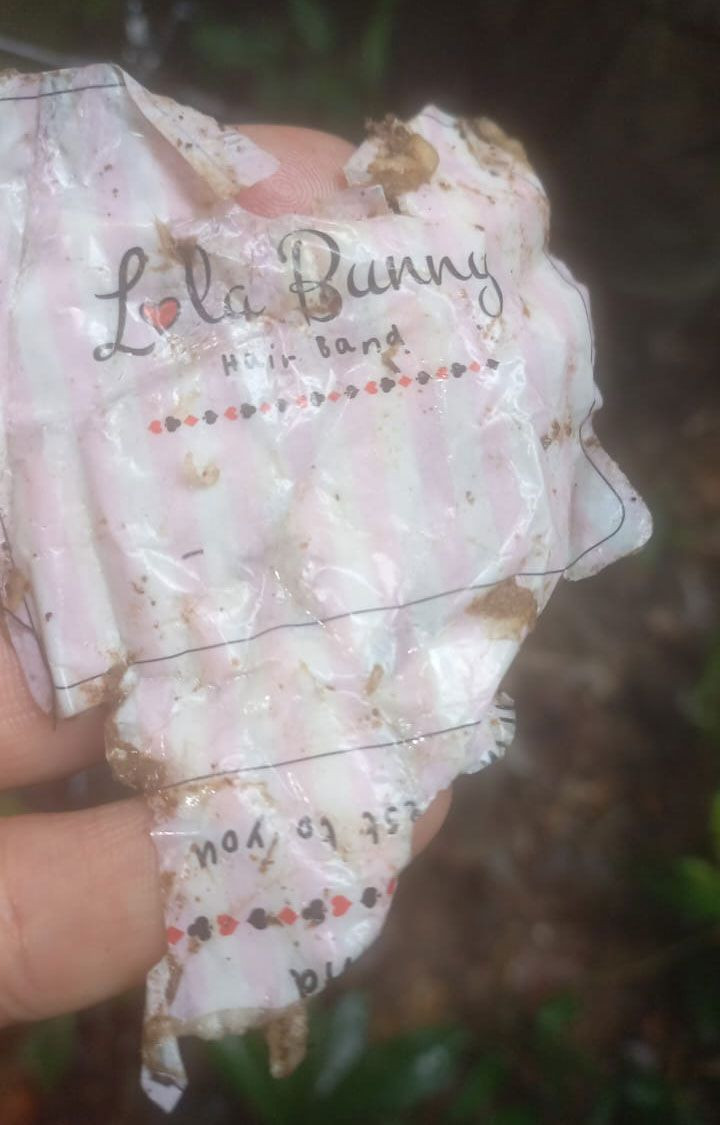 Bu bir mucize! Kolombiya'da 17 gün önce düşen uçaktaki 4 çocuk sağ bulundu! En küçüğü 11 aylık - Resim: 2