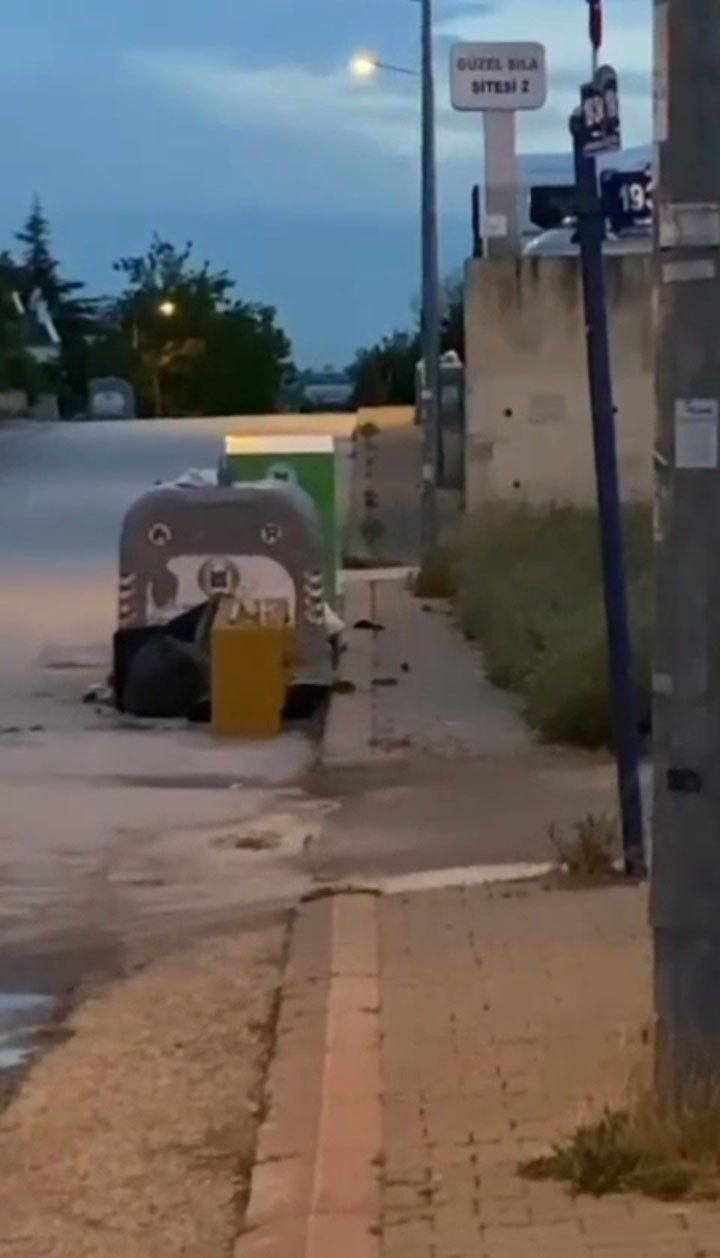 Ankara'yı mor fırtına poligonu vurdu! Tüm izinler iptal edildi sokakları fareler bastı - Resim: 3