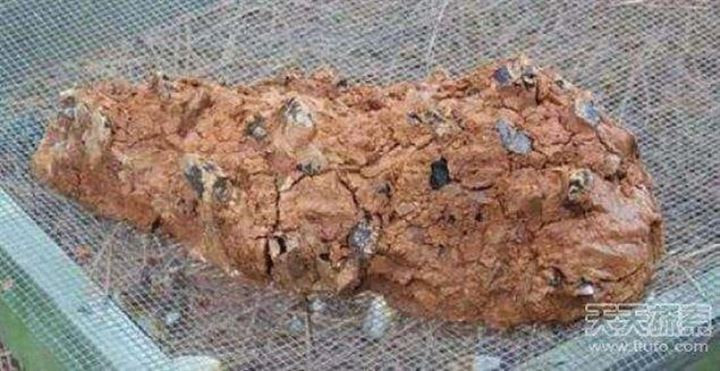 Yolda yürürken çamurun içinde servet buldu! - Resim: 1