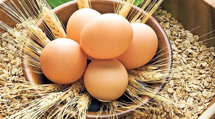 Yumurta fiyatını artıran 3 neden - Resim: 4