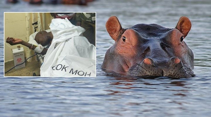 Bu akşam İzmir'e gelecekti! Su aygırının saldırısına uğradı - Resim: 1