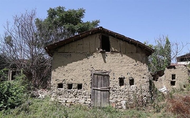 Bu evi görenin ağzı açık kalıyor! Doğal peteklerden oluşan 'Arı Evi'nden bal damlıyor... - Resim: 2
