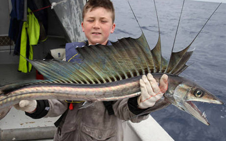 Cumartesi gününü neşelendirecek 60 fotoğraf