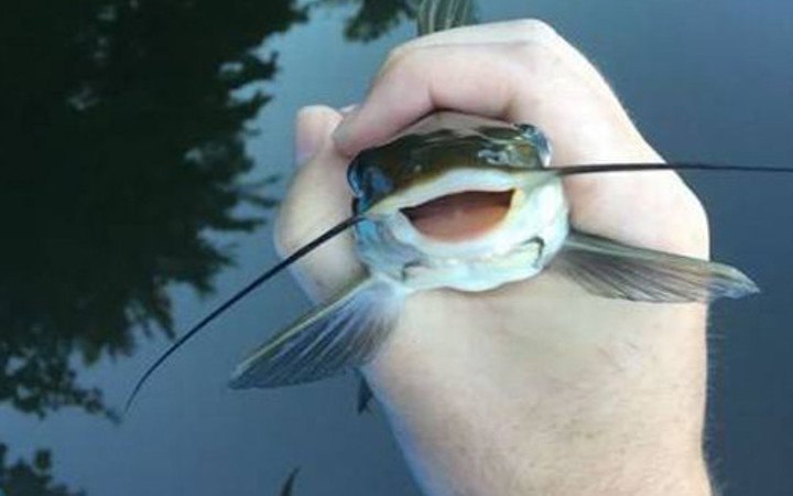 Günün en çılgın 55 fotoğrafı