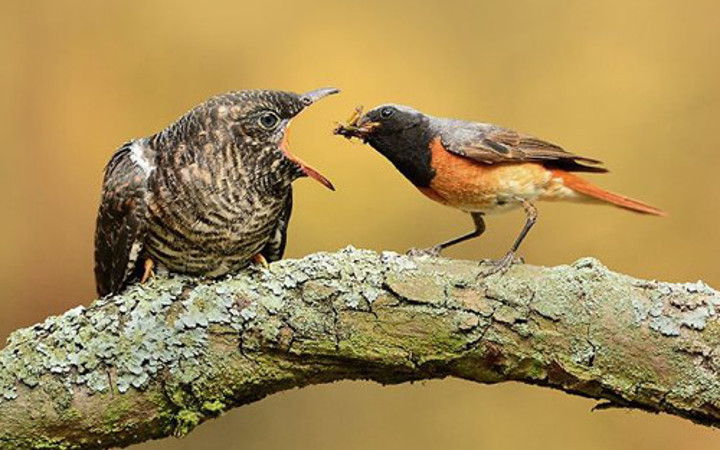Pazartesi'ye bomba fotoğraflar