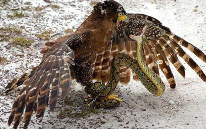 Günün en sevilen 60 fotoğrafı