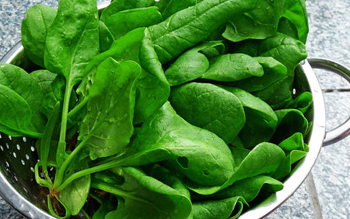 Ispanağın az bilinen faydası