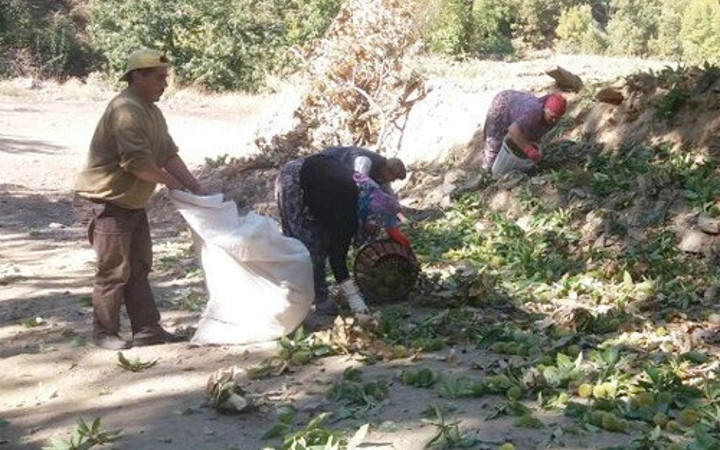 Aydın'da o işe mühendis maaşı veriliyor ama