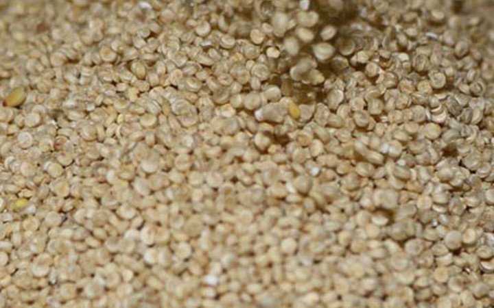 1 kilosu 10 kilo ete eşdeğer!