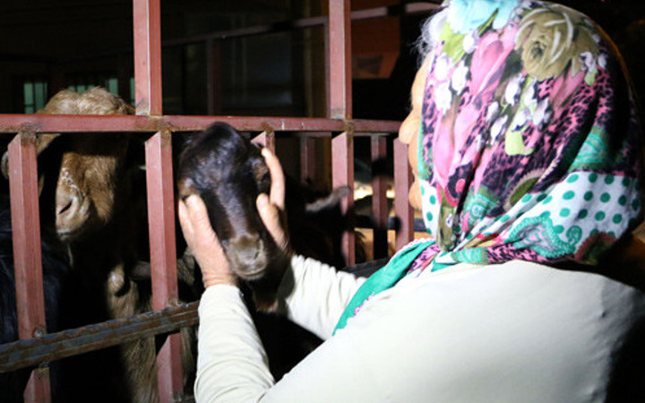 Keçileri çalınınca üzüntüden bulununca sevinçten ağladı