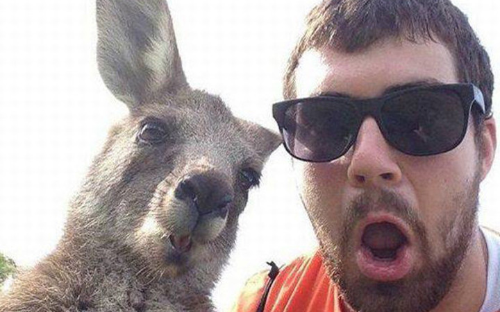 Bu fotoğraflar sizi şoke edecek! 