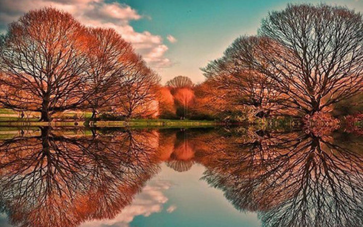 Tam zamanında çekilmiş muhteşem fotoğraflar