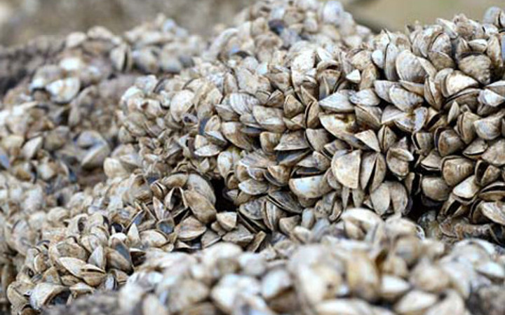 Su çekildi ortaya çıktı