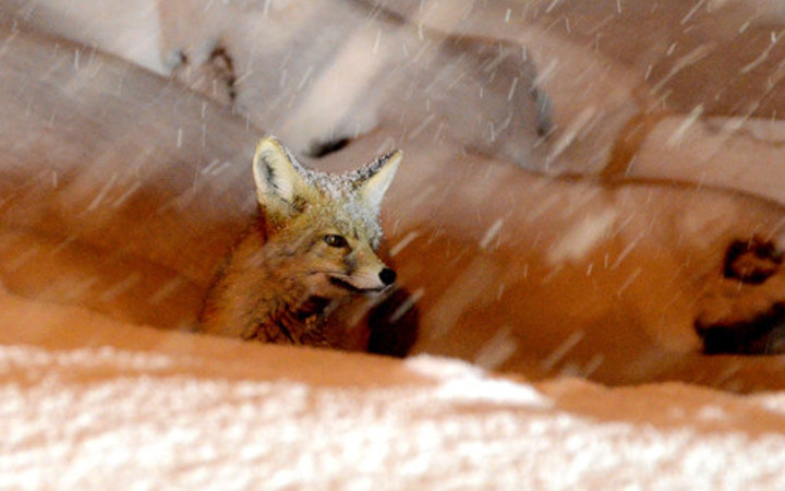 Türkiye'den doyum olmaz kar fotoğrafları