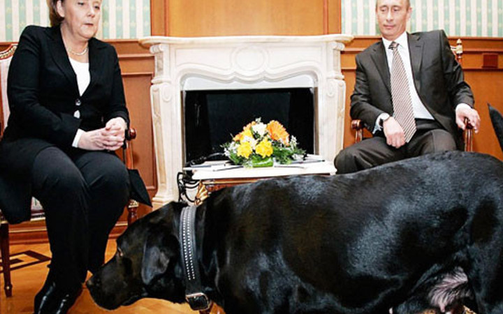 Putin Merkel'in fobisinden yararlandı köpekle korkuttu!