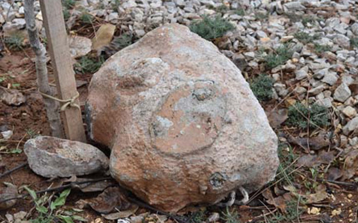 Sıradan bir taş gibi görünüyor ama...