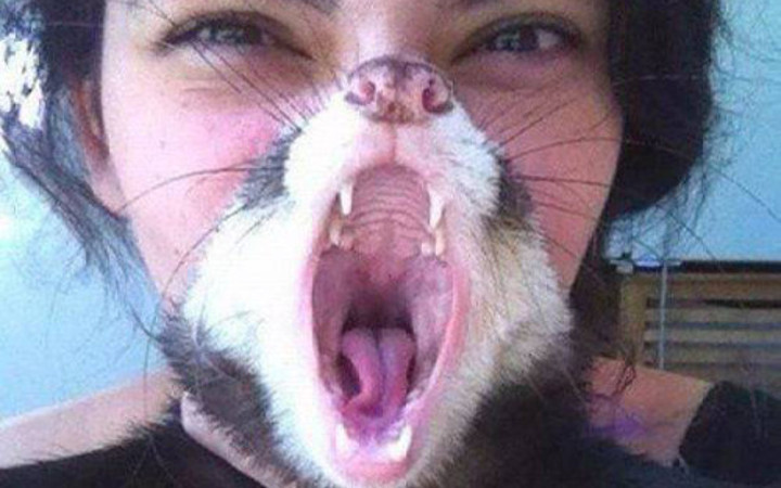 Günün en çılgın fotoğrafları