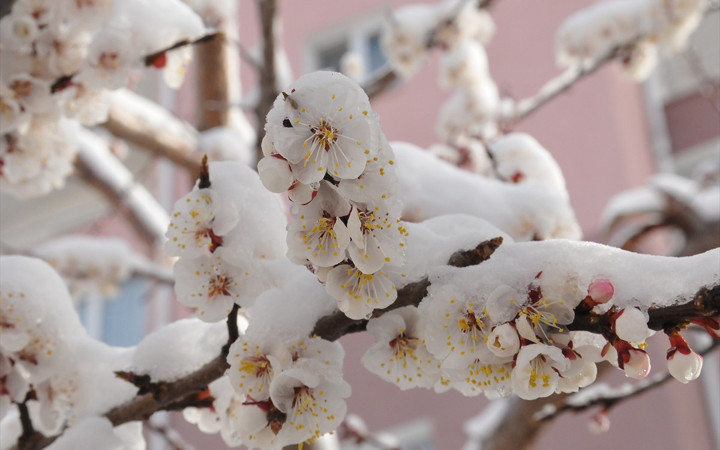 Kış geri geldi! Mart şanına uygun davranınca böyle oldu!